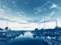 Cyanotypes/Alternative