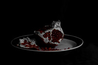 Still Life/Abstract